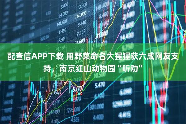 配查信APP下载 用野菜命名大猩猩获六成网友支持，南京红山动物园“听劝”